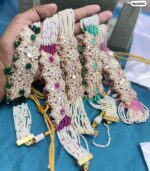 Multi colour Choker with earrings